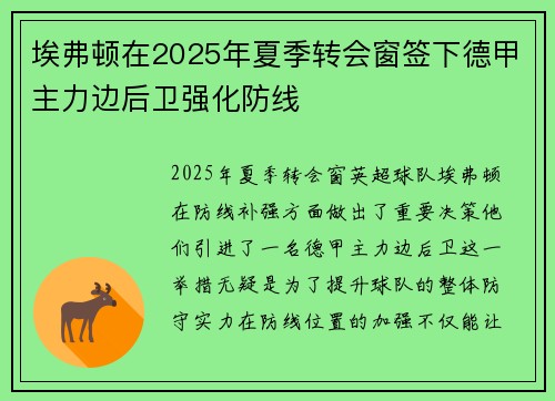 埃弗顿在2025年夏季转会窗签下德甲主力边后卫强化防线